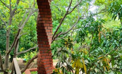 The Sahyadri’s Soft Veil: Finding “Sukoon Ke Pal” in Pune’s Monsoon Embrace
