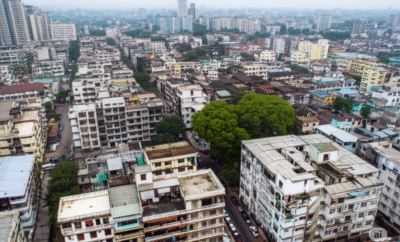 The Terraces’ Tiny Gardens: Finding “Sukoon Ke Pal” in Mumbai’s Monsoon Blooms