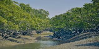 The Kingdom of the Tides: Finding “Sukoon Ke Pal” in the Sunderbans