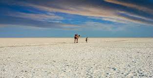 The Great White Silence: Finding “Sukoon Ke Pal” in the Rann of Kutch