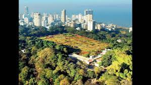 The Hilltop Haven: Finding “Sukoon Ke Pal” in Malabar Hills