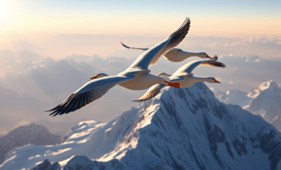 Ultimate Guide to Bird‑watching Across the Indian Sub‑continent